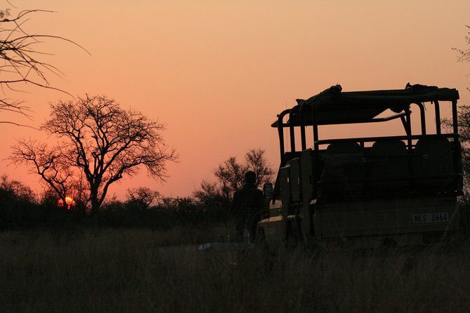 Morning Kruger National Park Safari - The Experience: What You Can Expect