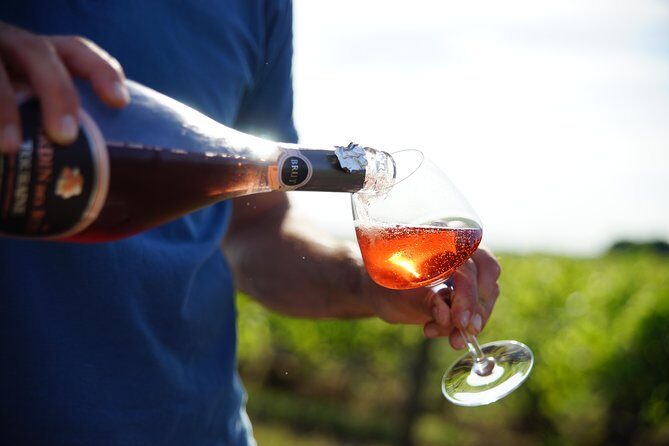 Morning - Loire Valley Wine Tour & Food Pairing, Vouvray - What to Expect from the Loire Valley Wine & Food Tour in Vouvray
