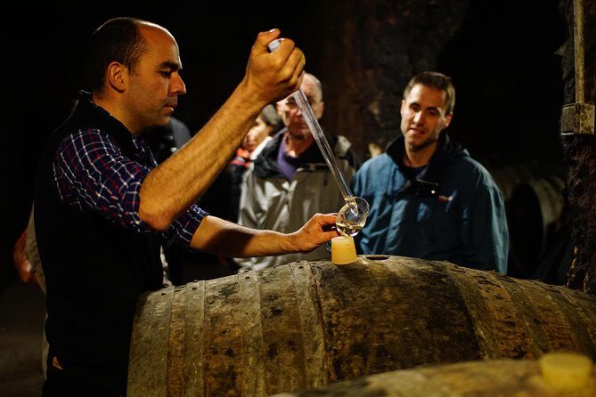 Morning - Loire Valley Wine Tour & Food Pairing, Vouvray - The Practical Side: Logistics and Value