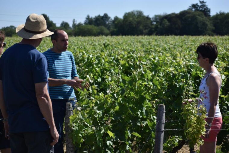 morning-loire-valley-wine-tour-food-pairing-vouvray