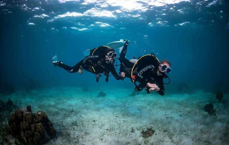 morning-mamutik-sapi-island-excursion-ticket