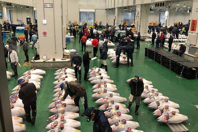 morning-market-adventure-toyosu-tsukiji-with-tuna-auction