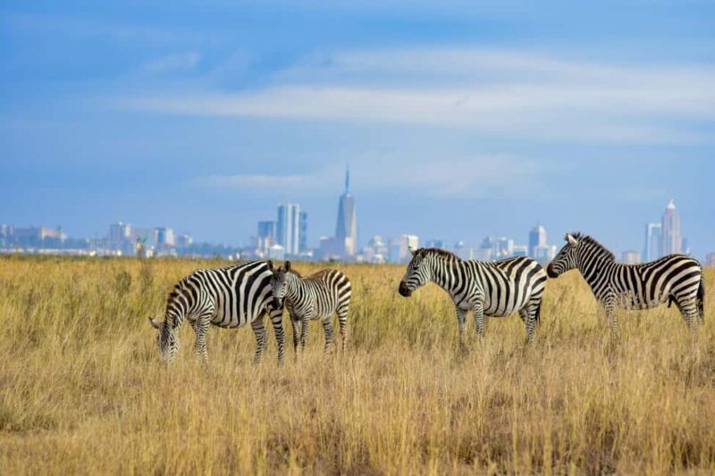 Morning Nairobi National Park Game drive - Key Points
