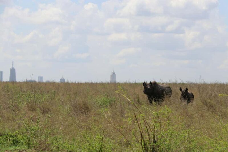 Morning Nairobi National Park Game drive - FAQs
