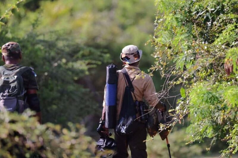 Morning Nature Walk in Bundala Village - Key Points