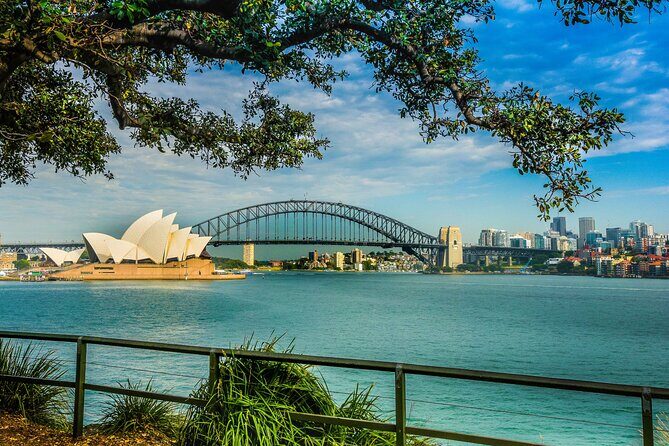 Morning or Afternoon Half-Day Sydney City Sightseeing Tour - From the Reviews: Authentic Insights