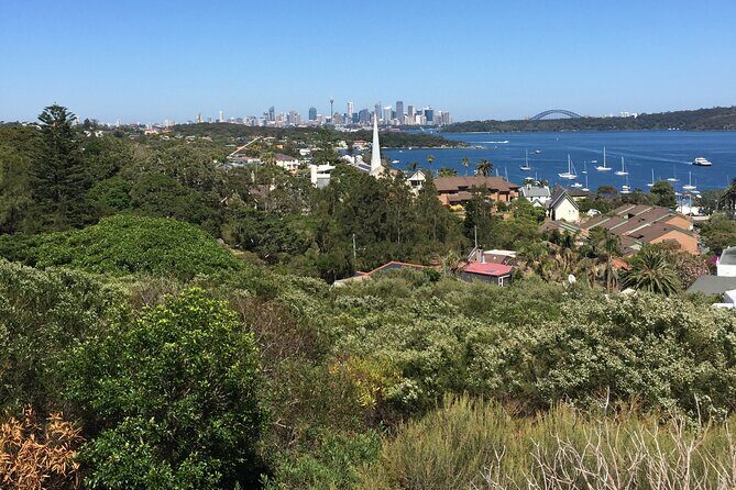 Morning or Afternoon Half-Day Sydney City Sightseeing Tour - Who Should Book This Tour?