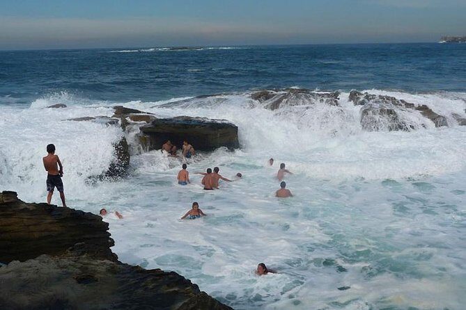 Morning or Afternoon Highlights Tour in Sydney with a Local Guide - What Sets This Tour Apart?