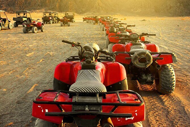 Morning or Afternoon Quad Safari with Transfer In Hurghada - Practical Tips for Your Trip