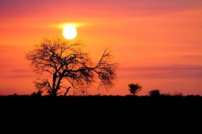 Morning or Afternoon Safari Tour - Final Thoughts
