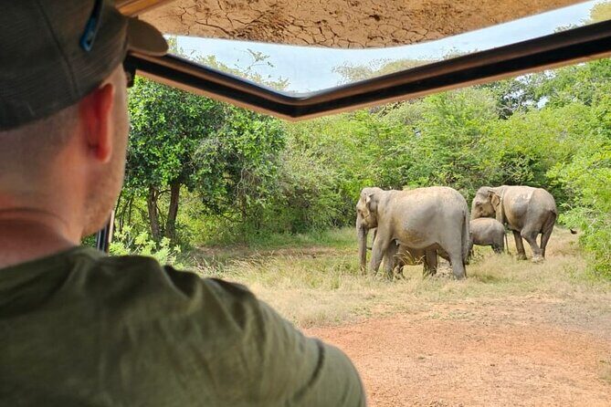 Morning Private Safari at Udawalawa National Park by Yala La Safari Tours - Key Points