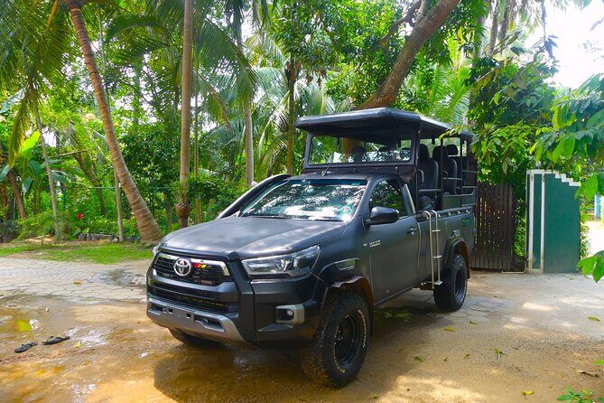 Morning Private Safari at Udawalawa National Park by Yala La Safari Tours - The Itinerary Breakdown