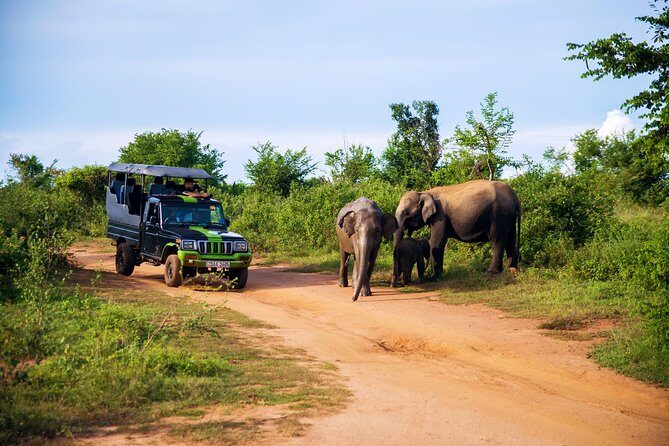 Morning Private Safari at Udawalawa National Park by Yala La Safari Tours - FAQ