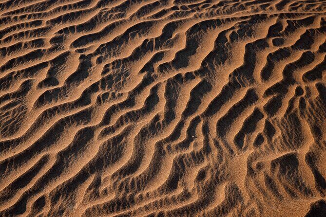 Morning Red Dune Desert Safari in Dubai with Camel Ride and Sand Boarding - The Experience from a Traveler’s Perspective