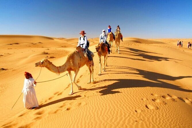 Morning Red Dune Desert Safari in Dubai with Camel Ride and Sand Boarding - Who Should Consider This Tour?
