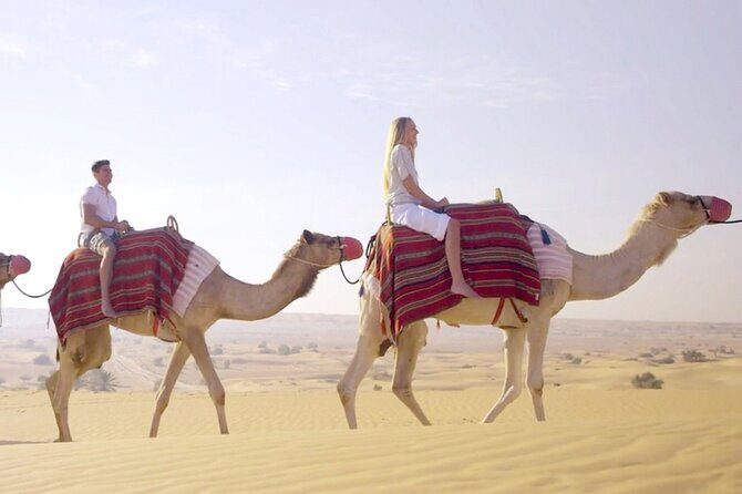 Morning Red Dunes Desert by Quad Bike, Dune Bashing, Camel Ride & Sandboarding - Who Should Consider This Tour?