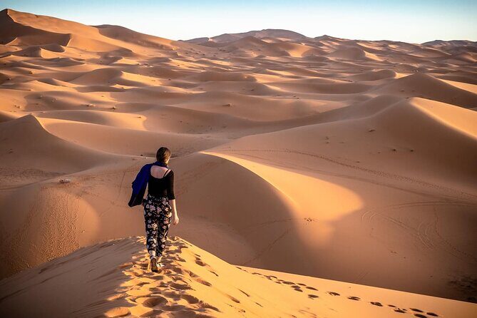 Morning Red Sand Desert Safari with Camel Ride & Sand Boarding - Key Points