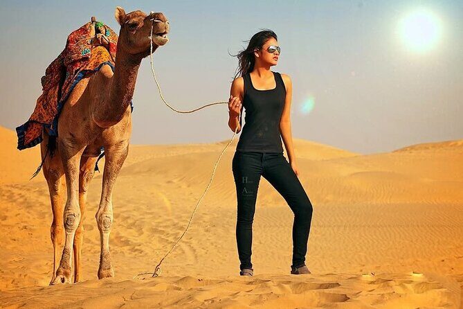Morning Red Sand Desert Safari with Camel Ride & Sand Boarding - The Journey to the Desert: Pickup and Transport