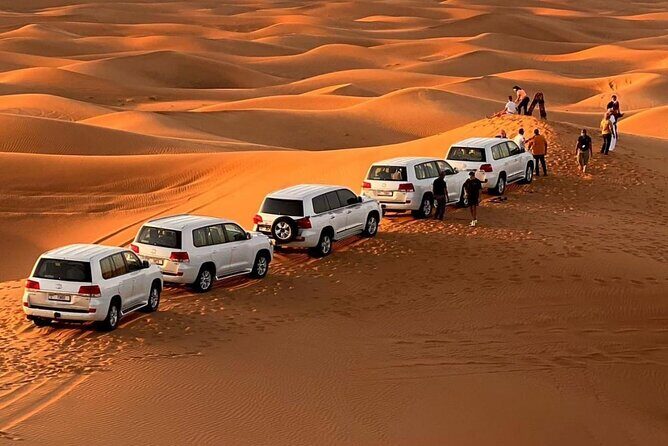 Morning Safari (Private Car) - Key Points