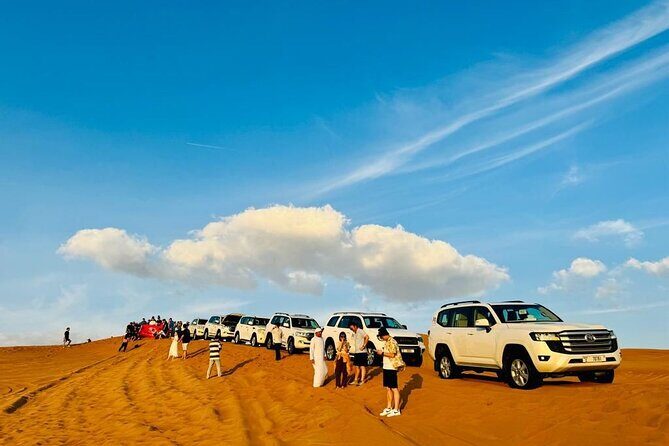 Morning Safari (Private Car) - What to Expect from the Tour: A Step-by-Step Breakdown