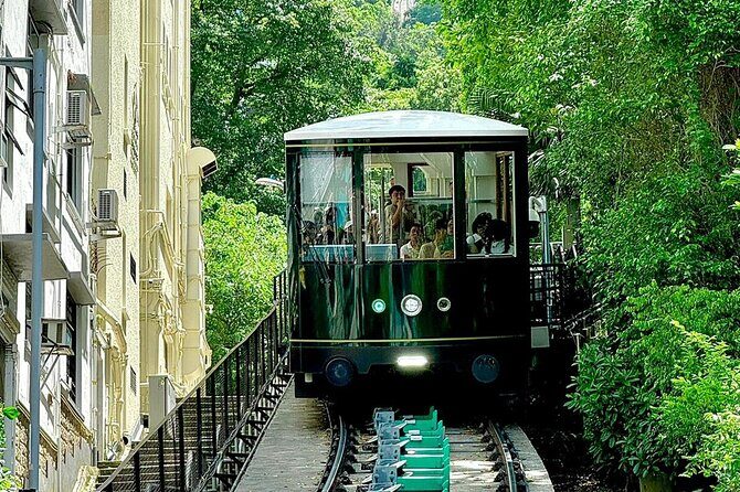 Morning Tour - Deluxe Hong Kong Island Tour with Hotel Pickup in Kowloon - Guides and Overall Value