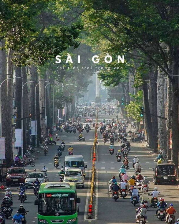 morning-tour-discovering-ho-chi-minh-citys-historic-gems