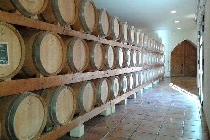 morning-wine-tour-to-chateauneuf-du-pape-from-avignon