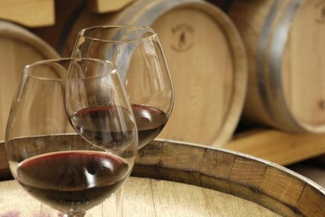 morning-wine-tour-to-chateauneuf-du-pape-from-avignon