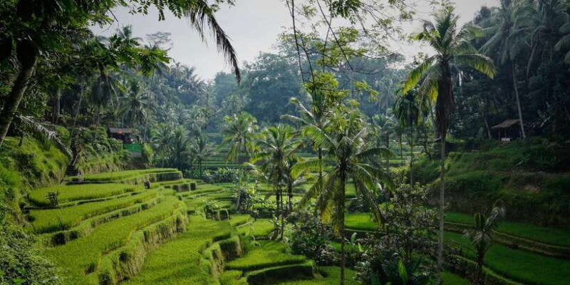 morning-yoga-class-at-heart-of-ubud-and-holy-bathing-ritual