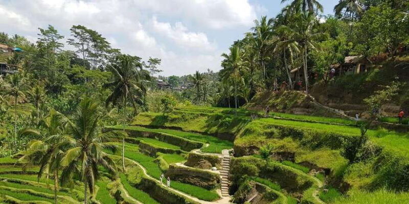 morning-yoga-class-at-heart-of-ubud-and-holy-bathing-ritual