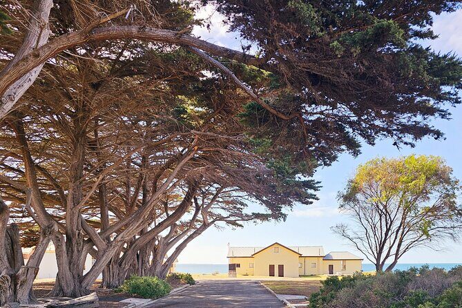 Mornington Peninsula Coastal Discovery Tour from Melbourne - The Sum Up: Is This Tour Right for You?