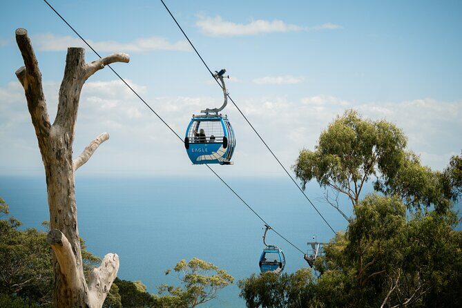 Mornington Peninsula Departure Wine and Hot Springs Tour - Exploring the Mornington Peninsula Departure Wine and Hot Springs Tour