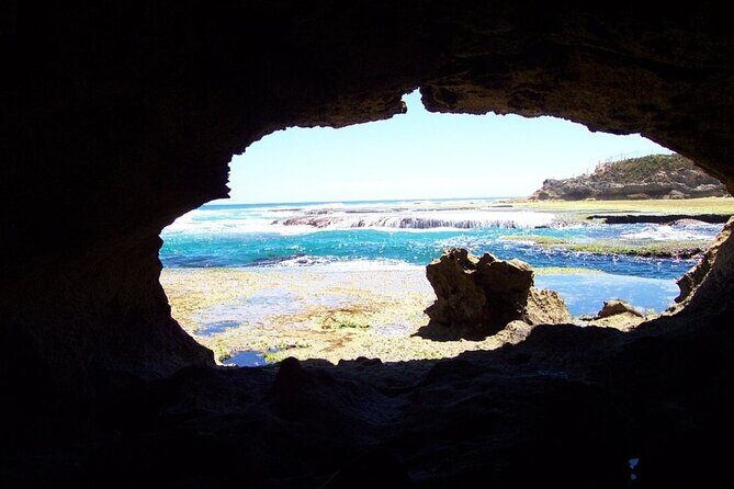 Mornington Peninsula Private Day Tour - Authentic Experiences and What We Learned from Reviews