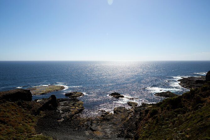 Mornington Peninsula Private Day Tour - The Sum Up
