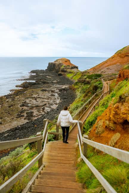 Mornington Peninsula Private Day Tour - An Overview of the Tour Experience