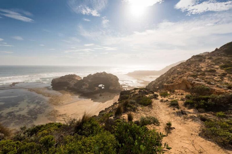 Mornington Peninsula Private Day Tour - Practical Details and Value