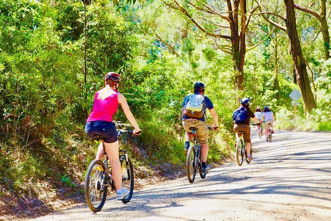 Mornington Peninsula Self-Guided Bike Tour | Food & Wine Region - A Closer Look at the Mornington Peninsula Self-Guided Bike Tour