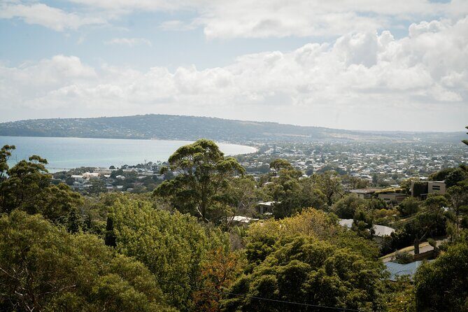 Mornington Peninsula Small Group Hot Springs, Lunch & Winery Tour - Final Thoughts