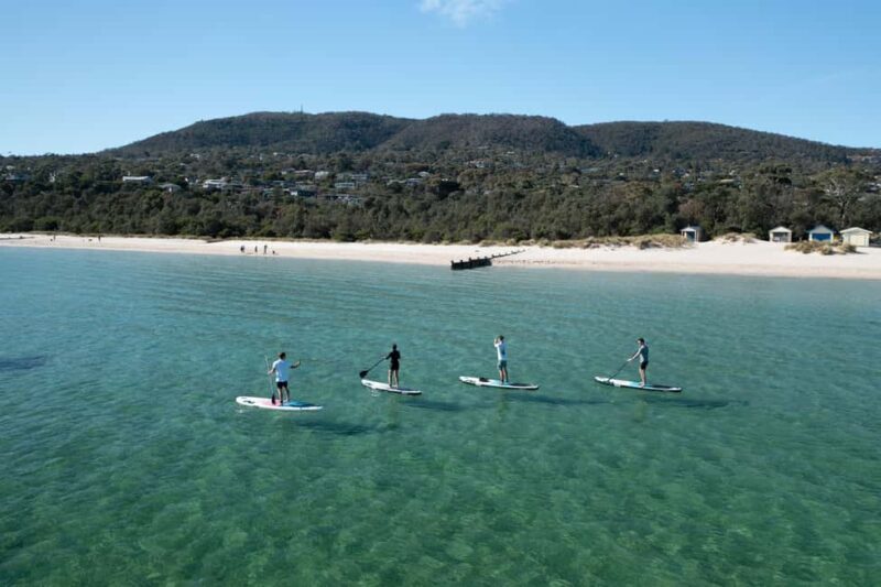 Mornington Peninsula: SUP, Hike, & Hot Springs Trip w/ Lunch - Key Points