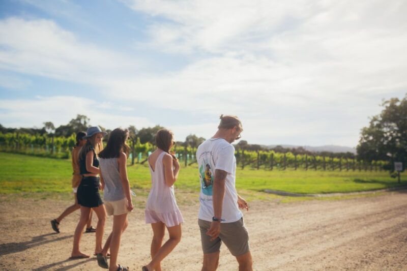 Mornington Peninsula: SUP, Hike, & Hot Springs Trip w/ Lunch - The Sum Up