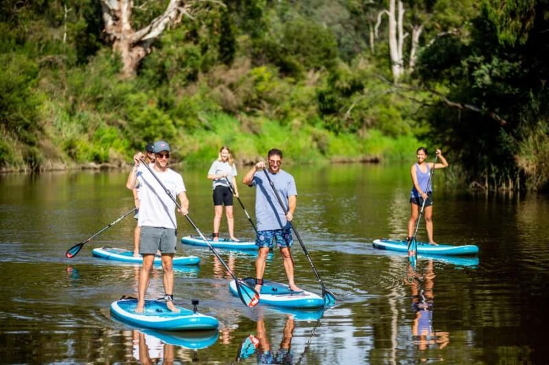 Mornington Peninsula: SUP & Snorkel Safari Tour incl Brunch - What to Expect Day-by-Day