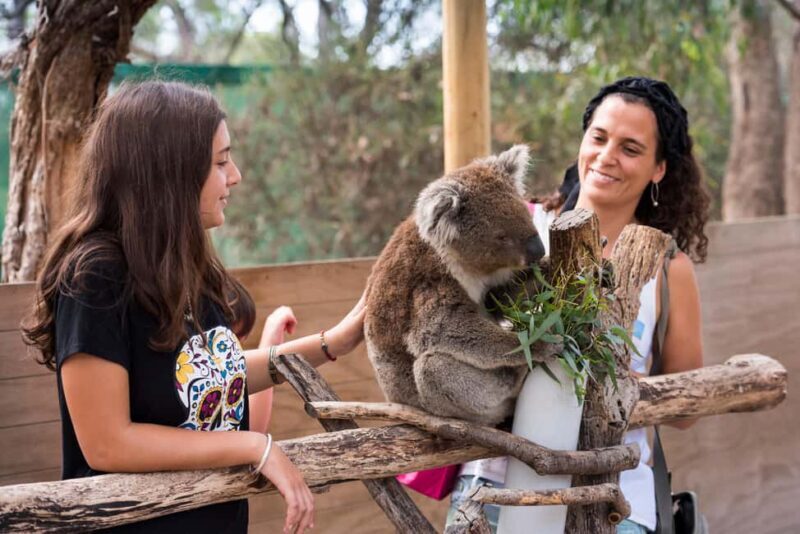 Mornington Peninsula Tour: wildlife, wine, art & hot springs - Exploring the Mornington Peninsula: Wildlife, Wine, Art & Hot Springs