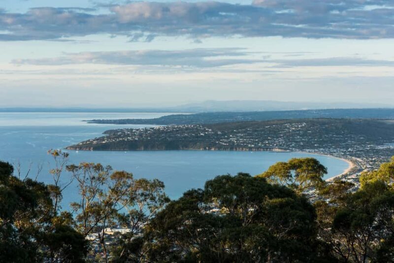 Mornington Peninsula Tour: wildlife, wine, art & hot springs - Key Points