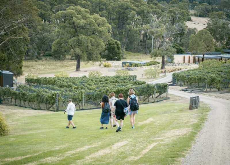 Mornington Peninsula: Transfers, Food and Wine Tour - Key Points