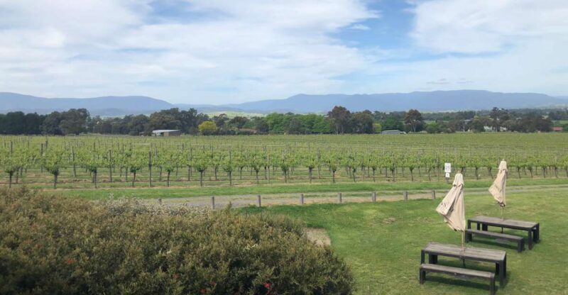 Mornington Peninsula Winery Bus Tour with Lunch & Wine - An In-Depth Look at the Mornington Peninsula Winery Bus Tour
