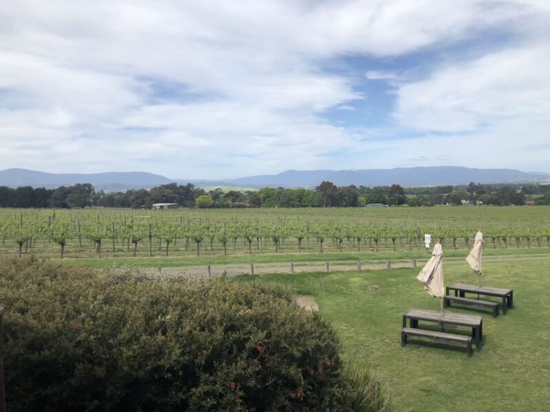 Mornington Peninsula Winery Bus Tour with Lunch & Wine - FAQ