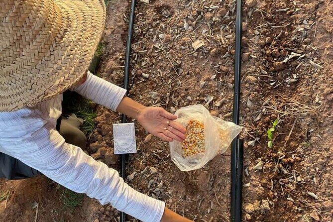 Moroccan Cooking Class and Eco-Farm Visit - Full day - FAQ