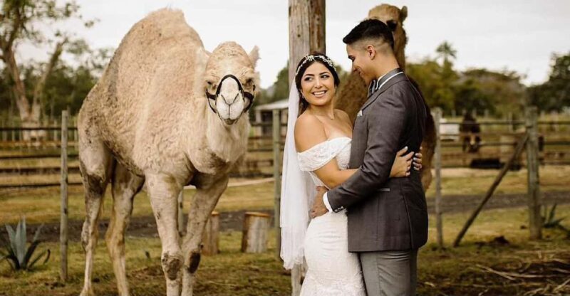 Moroccan Luxury Wedding Ritual: Full romantic experience - The Itinerary Breakdown
