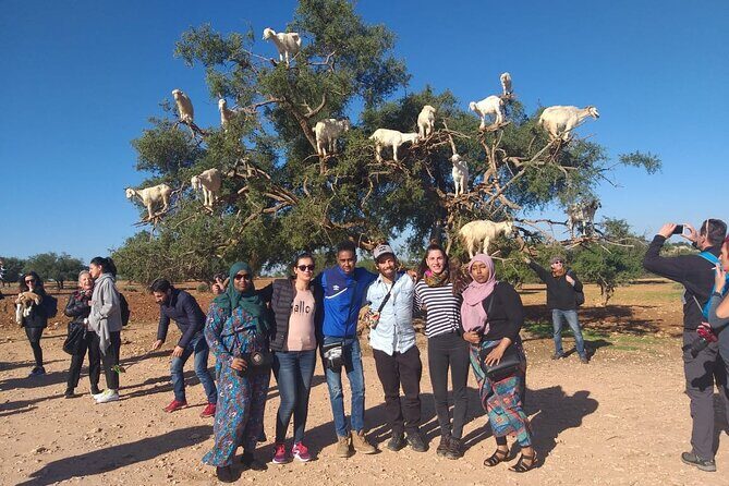 Morocco 11 Days Tour from Casablanca via Sahara Desert - The Experience Through Travelers’ Eyes