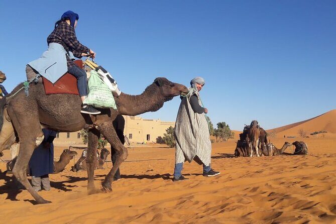 Morocco 12 Days Tour from Casablanca - Detailed Breakdown of the 12-Day Morocco Tour